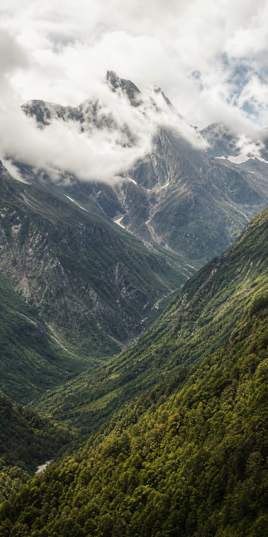 Cloud-covered green mountain landscape